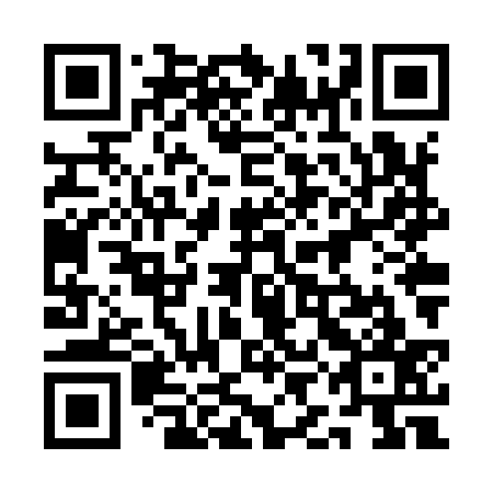 QR code for plate 1IN Y37