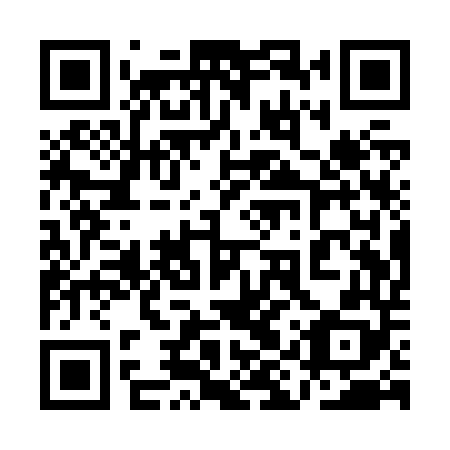 QR code for 1IQ Z48