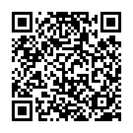 QR code for plate 1L6 620