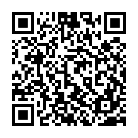 QR code for plate 1LR E76