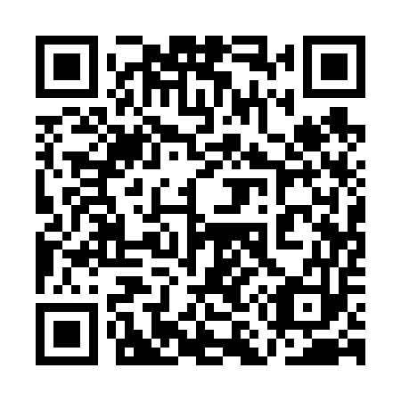 QR code for plate 1M1 653