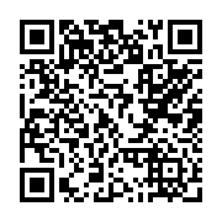 QR code for plate 1M3 241