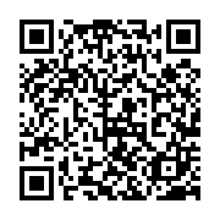 QR code for plate 1ML 503