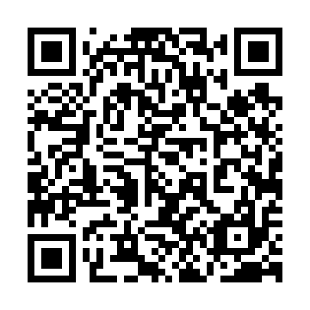 QR code for plate 1N4 617
