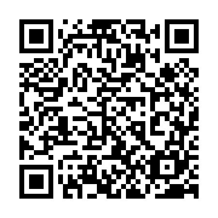 QR code for plate 1N7 065