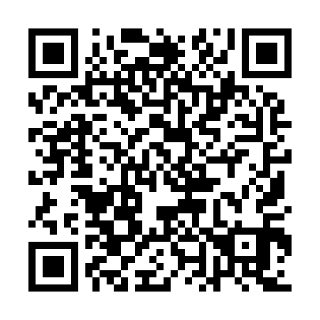 QR code for 1N9911