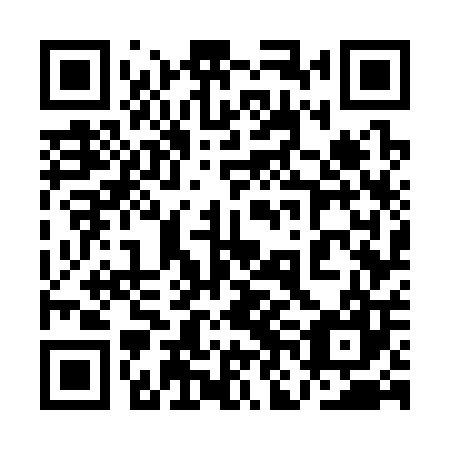 QR code for plate 1NG 307