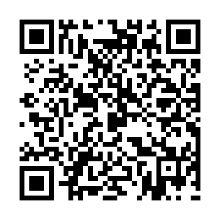 QR code for plate 1NS B51