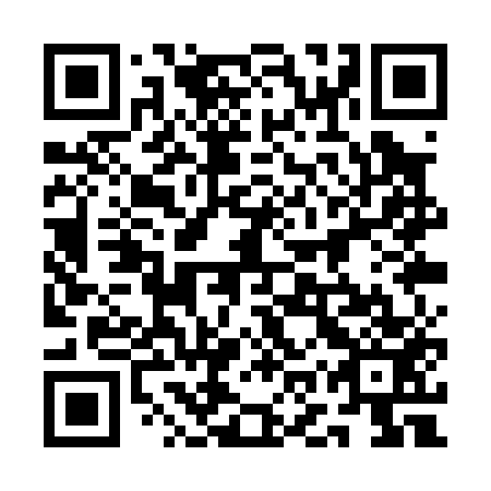 QR code for 1OQ P53