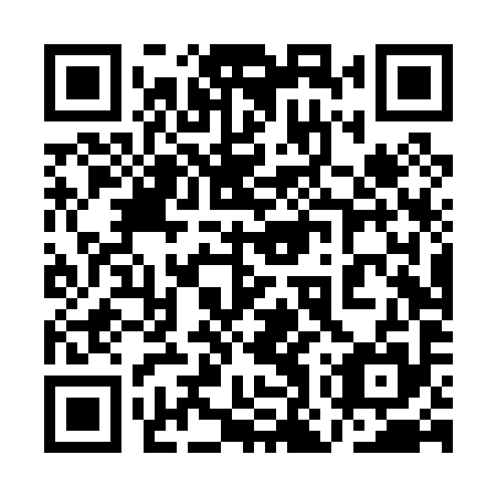 QR code for 1OT P95
