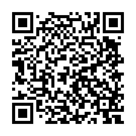 QR code for plate 1P1 482