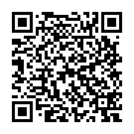 QR code for plate 1P3 118