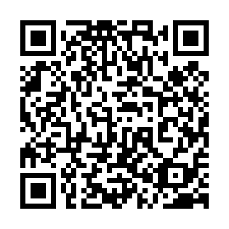 QR code for plate 1P5 419