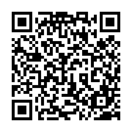 QR code for plate 1P9 406