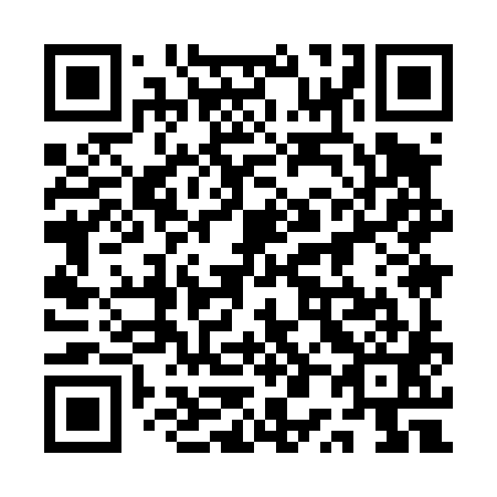 QR code for plate 1P9 481