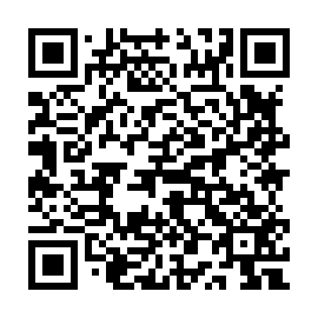 QR code for plate 1P9 853