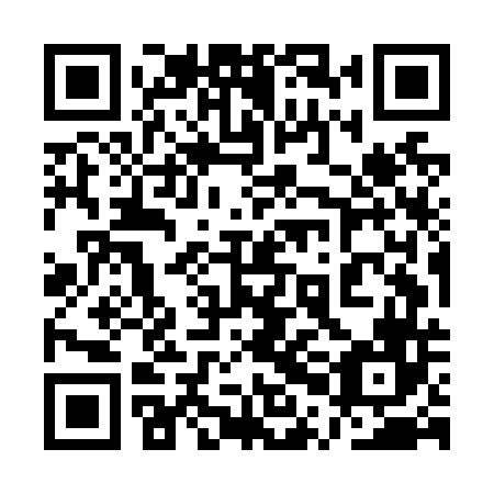 QR code for 1PM N46