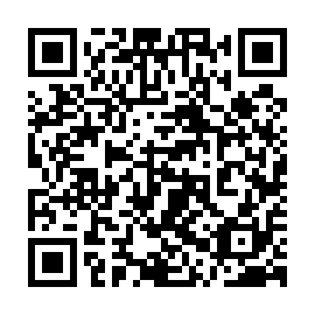 QR code for plate 1PV 510