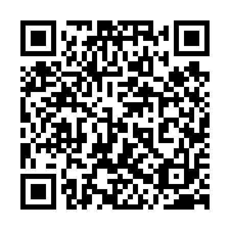 QR code for plate 1PV 613