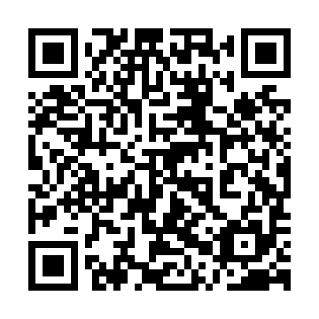 QR code for 1PX N95