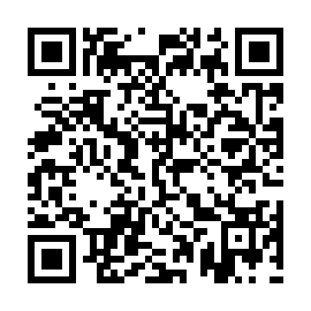 QR code for plate 1PX Y33