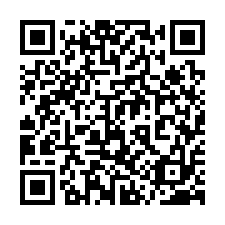 QR code for plate 1Q7 313