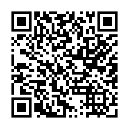 QR code for 1QE 919