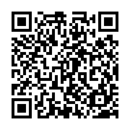 QR code for plate 1QM W94