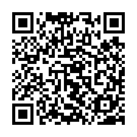 QR code for plate 1QR 675
