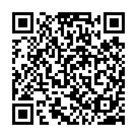 QR code for plate 1R1 611