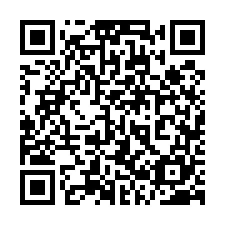 QR code for plate 1R6 565