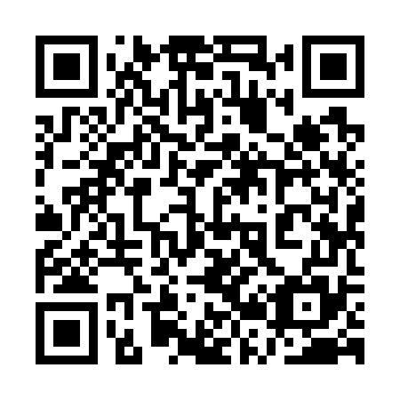 QR code for plate 1R9 775
