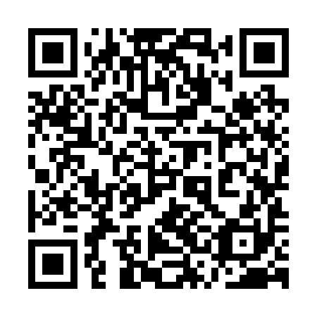 QR code for 1SK 290
