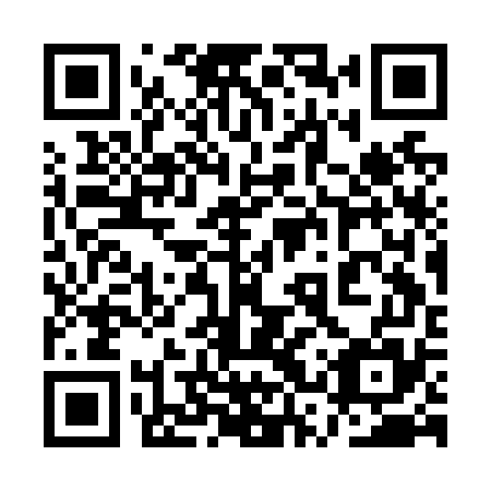 QR code for plate 1SS N75