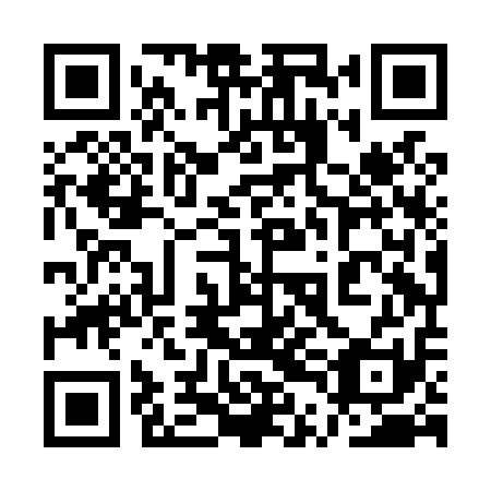 QR code for plate 1TH L11