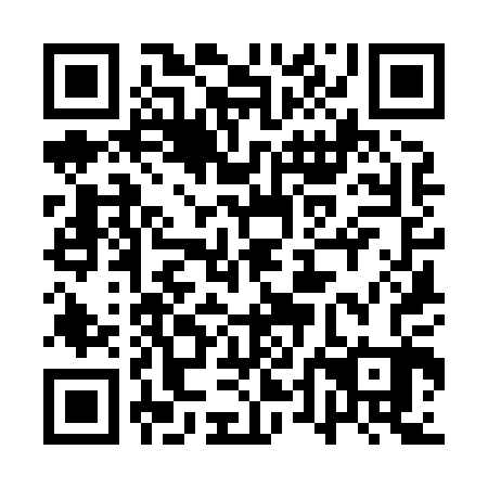 QR code for plate 1TK 803