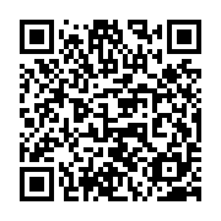 QR code for 1UE N95