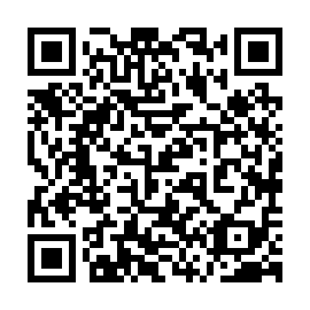 QR code for plate 1V8 219