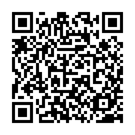 QR code for plate 1V9 185