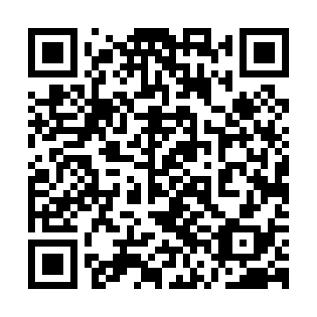 QR code for plate 1VD 038