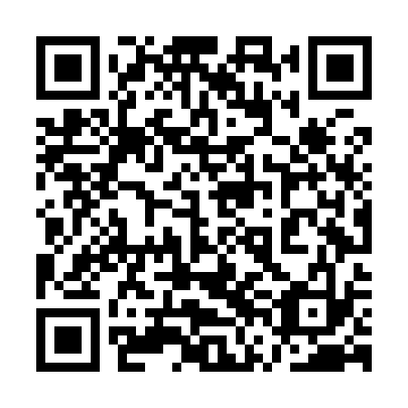 QR code for plate 1VL I33