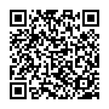QR code for plate 1VL P01