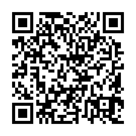 QR code for plate 1VM 381