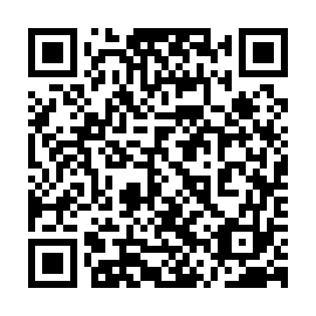 QR code for 1VS 173