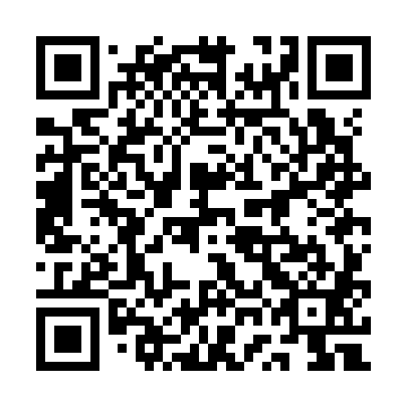 QR code for plate 1WO K81