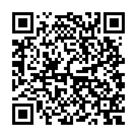 QR code for plate 1X6 711