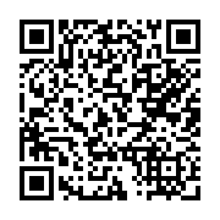 QR code for plate 1X9 378