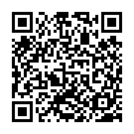 QR code for plate 1X9 655
