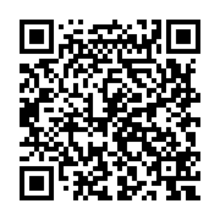 QR code for plate 1XL I19