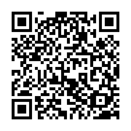 QR code for 1XN P49